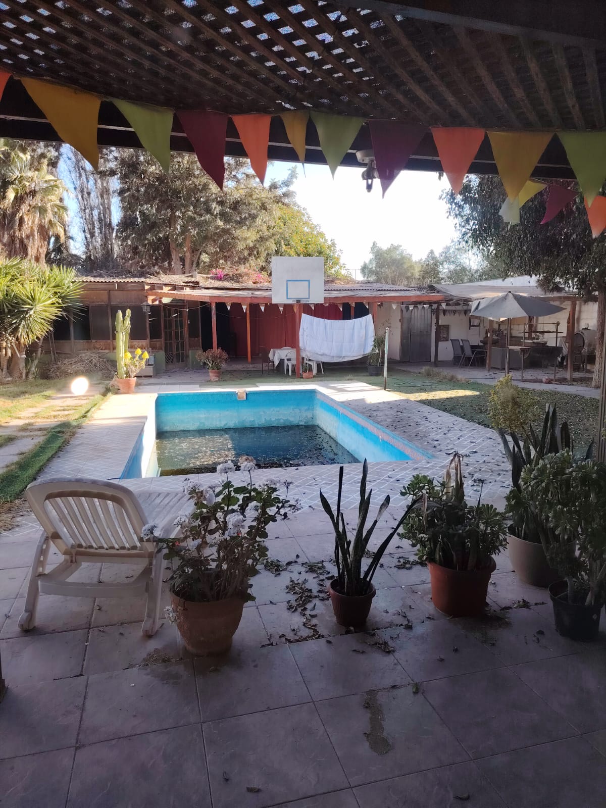 CASA AVENIDA LOS CARRERA - PRINCIPALMENTE EMPRESAS.-