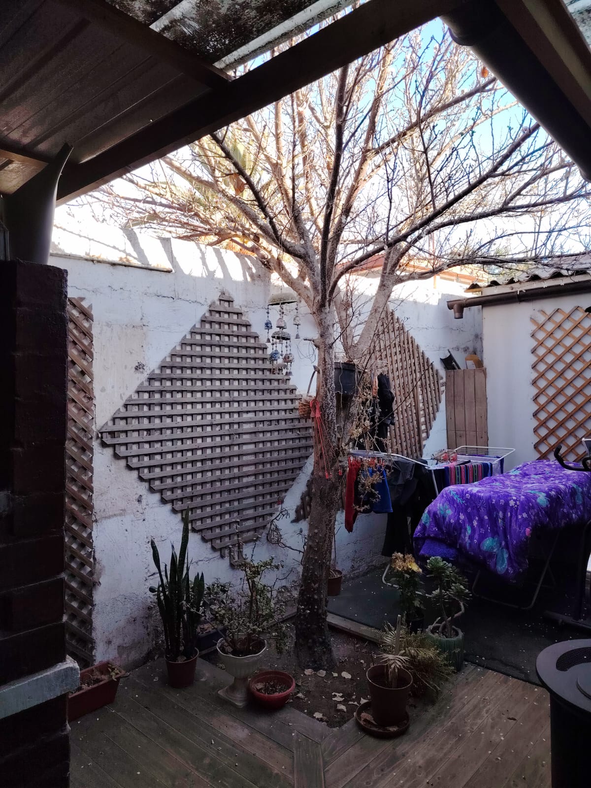 AVENIDA LOS CARRERA - AMPLIA Y GRAN CASA.-