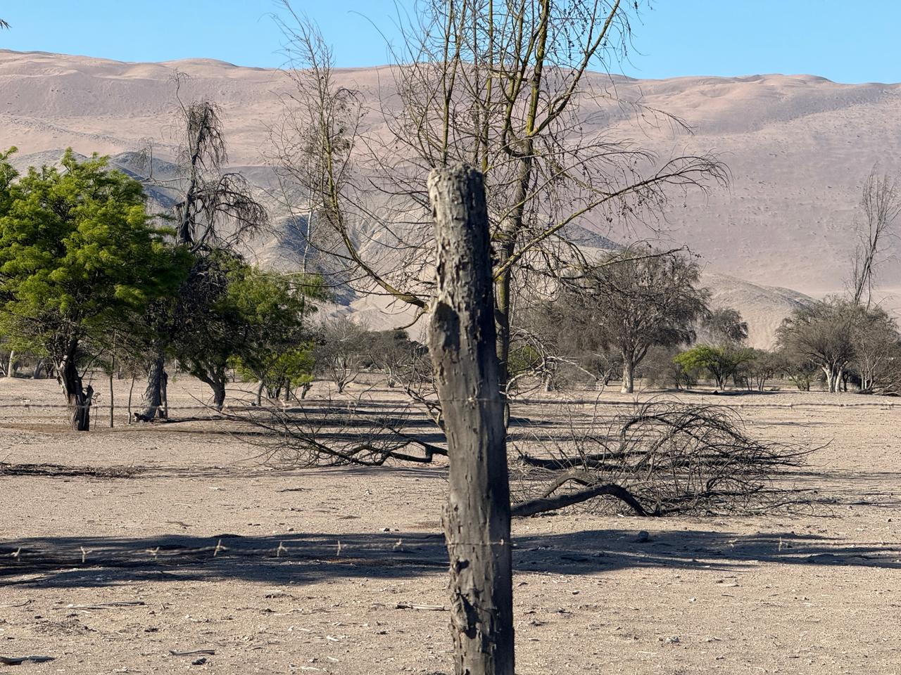 GRAN PARCELACION LA MACARENA - PIEDRA COLGADA.-