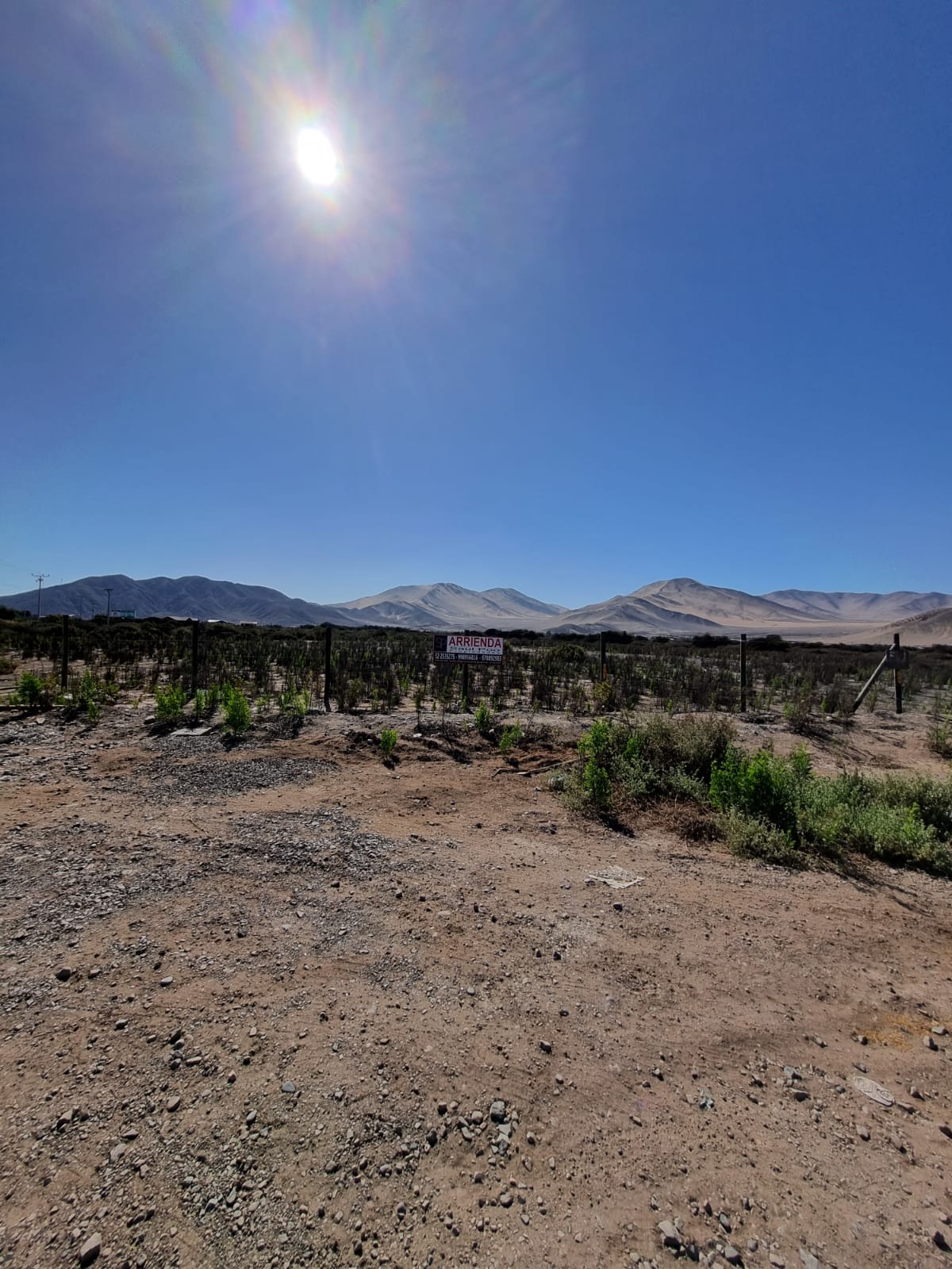 GRAN OPORTUNIDAD-ARRIENDO PARCELA FRENTE BY-PASS