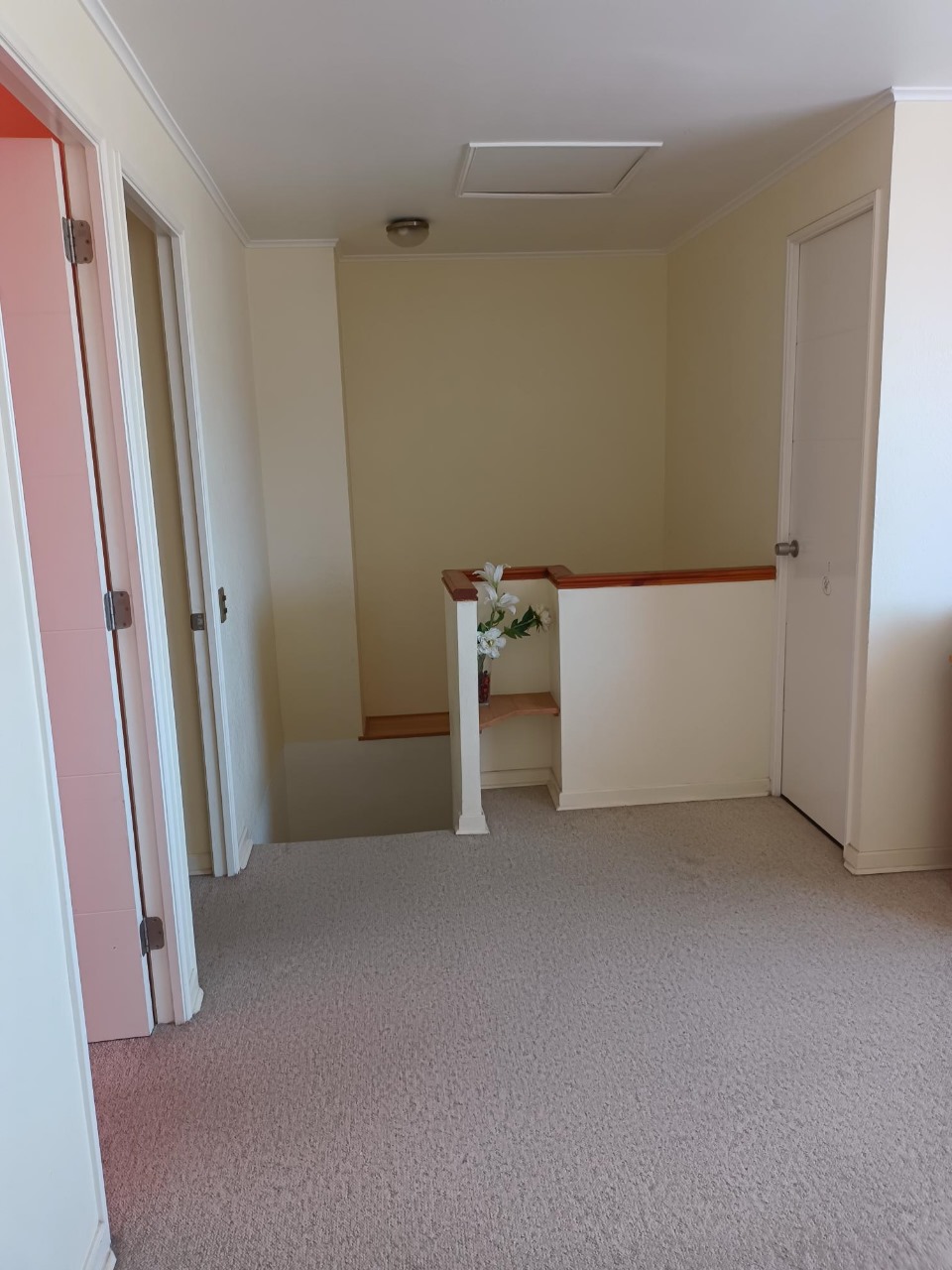 EXCELENTE PARCELA - VALLE FERTIL - A 5 MIN DE CARRETERA.-1/2 Ha.