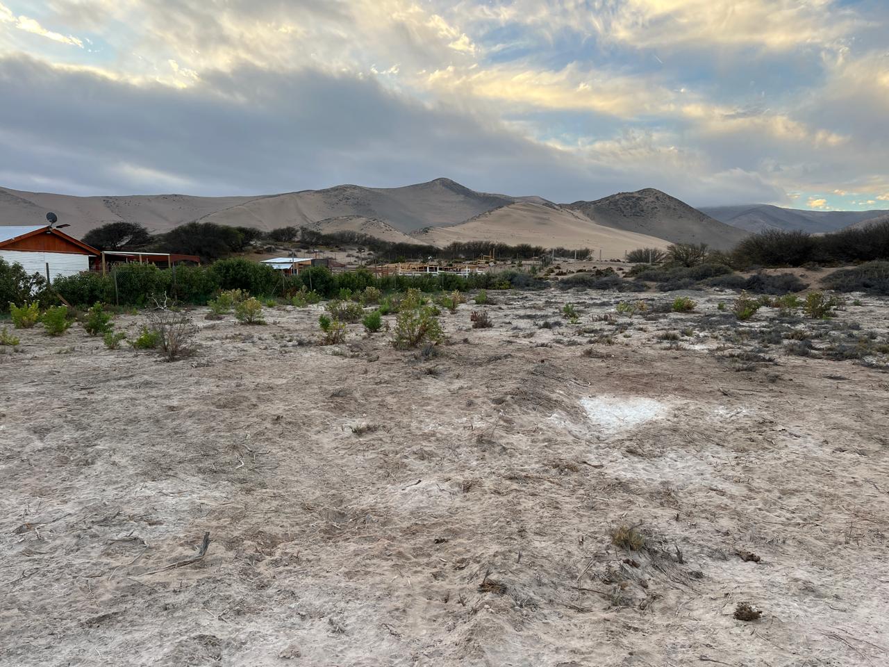 PARCELA SEGUNDA LINEA SECTOR PEAJE NORTE.-1/2 Ha.