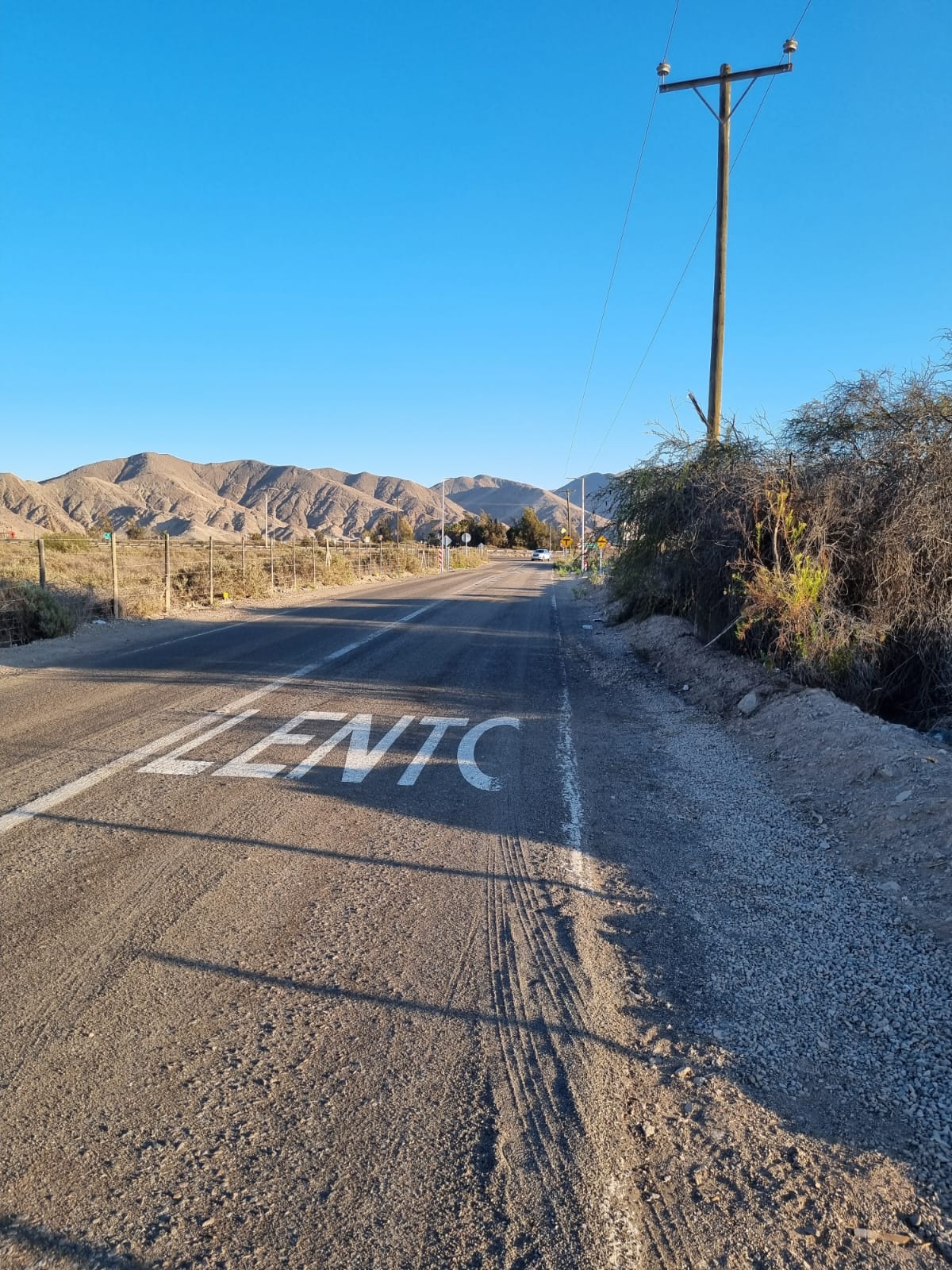 EXCELENTE PARCELA SECTOR BYPASS COPIAPO-1 Ha.