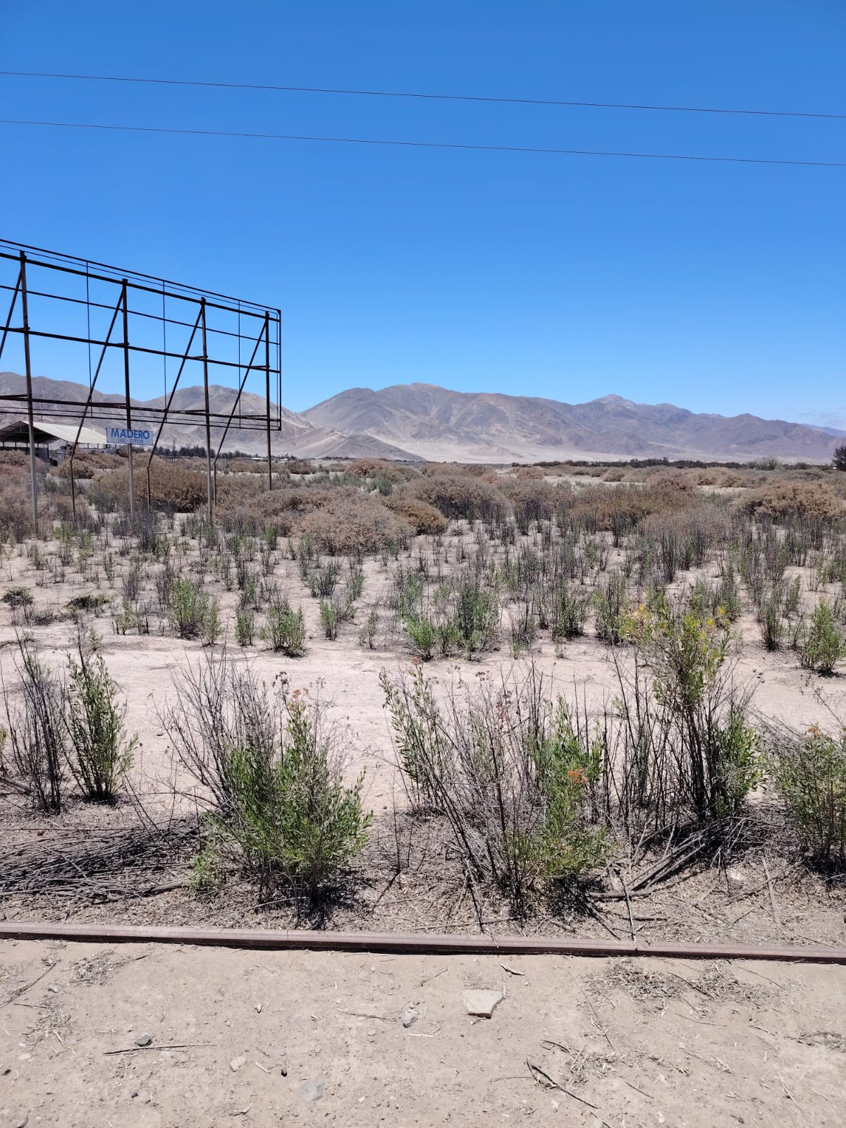 PARCELA SECTOR BY PASS - ORILLA CALETERA.-1/2 Ha.